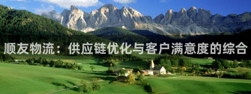 ,优游国际软件是什么：顺友物流：供应链优化与客户满意度的综合