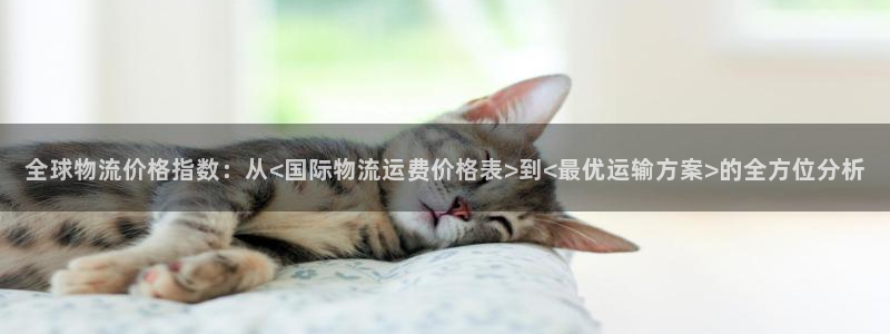 ,优游国际ccm游戏：全球物流价格指
