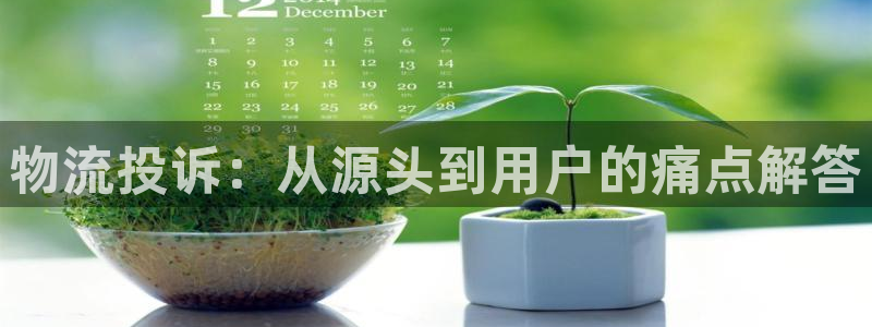 ,优游国际图片：物流投诉：从源头到用户的痛点解答
