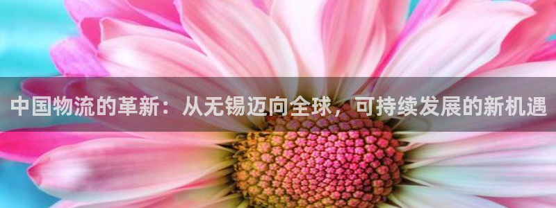 ,优游国际pc预测：中国物流的革新：