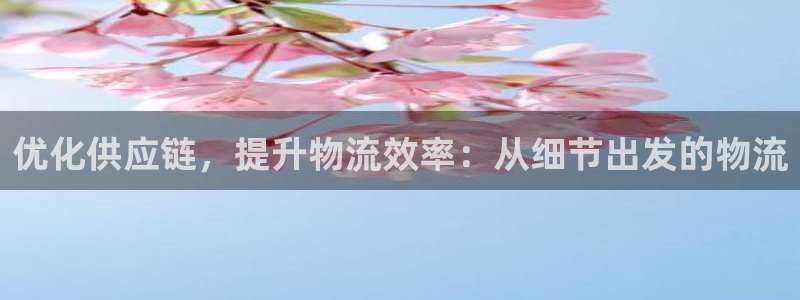 ,优游国际口：优化供应链，提升物流效