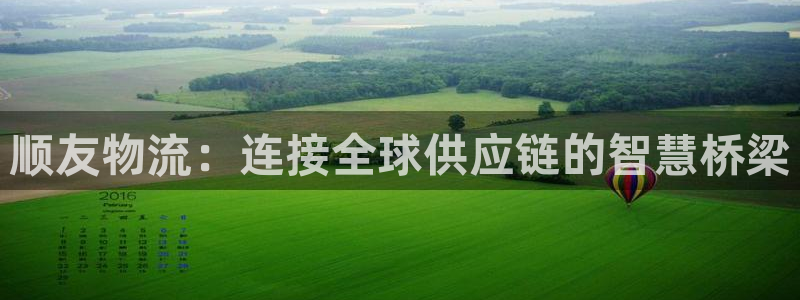 ,优游国际注册登录：顺友物流：连接全球供应链的智慧桥梁