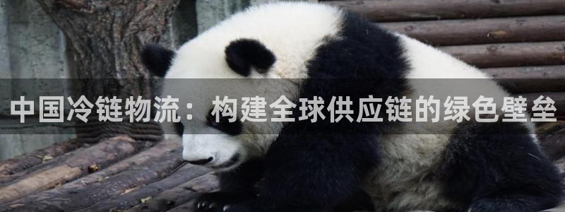 ,优游国际注册官网：中国冷链物流：构