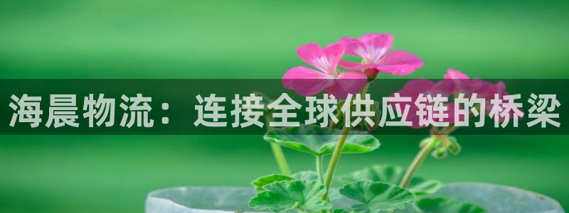 ,优游国际起来的符号：海晨物流：连接