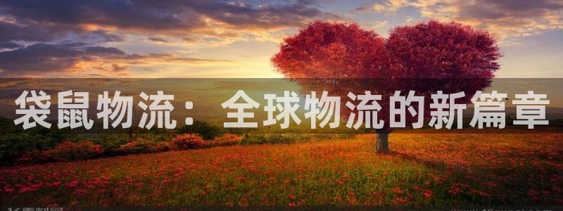 ,优游国际犯法吗：袋鼠物流：全球物流