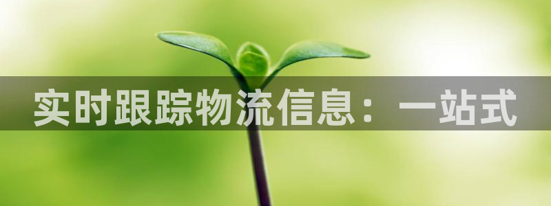 ,优游国际为什么没有赢过一次：实时跟
