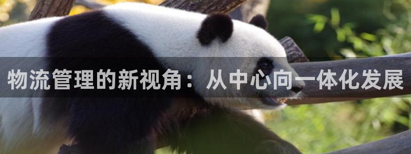 ,优游国际比特28真实吗：物流管理的