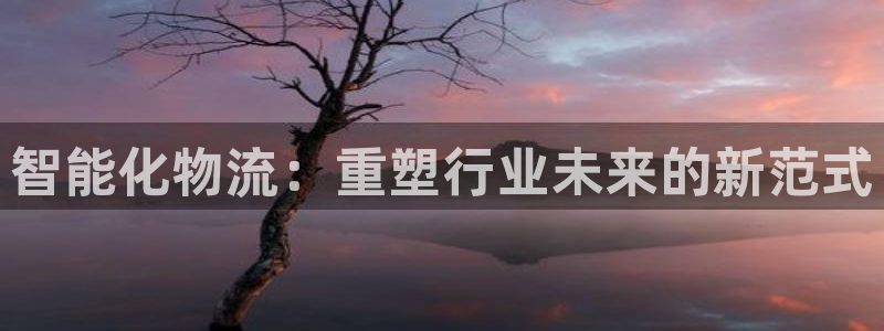 ,优游国际是什么软件：智能化物流：重