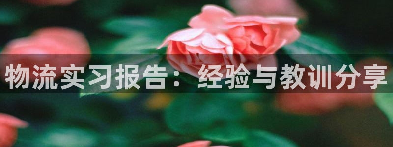 ,优游国际登录流程：物流实习报告：经