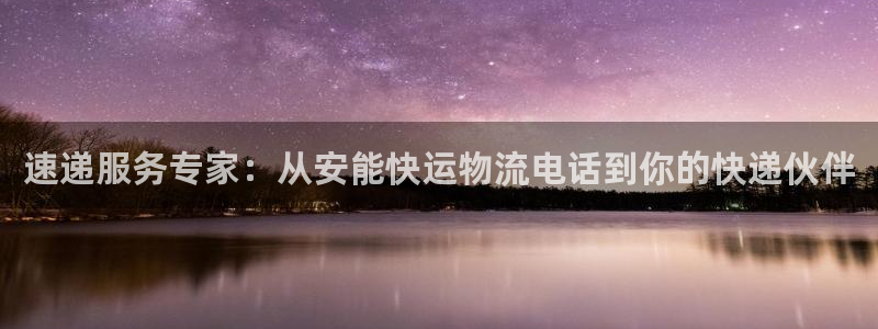 ,优游国际加拿大app预测：速递服务