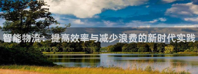 ,优游国际游戏链接：智能物流：提高效
