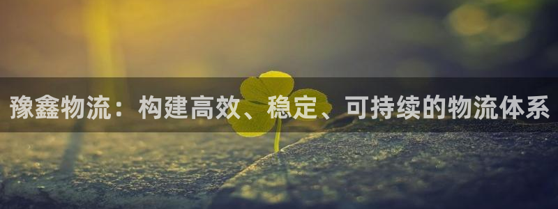 ,优游国际黑款：豫鑫物流：构建高效、