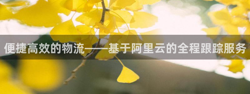 ,优游国际充值不到账怎么回事