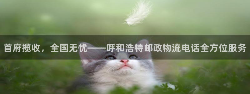 ,优游国际自行车搞笑图片：首府揽收，