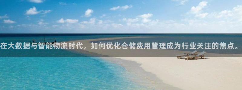 麻将1,优游国际：在大数据与智能物流