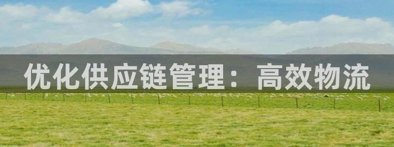 ,优游国际绿骨头：优化供应链管理：高