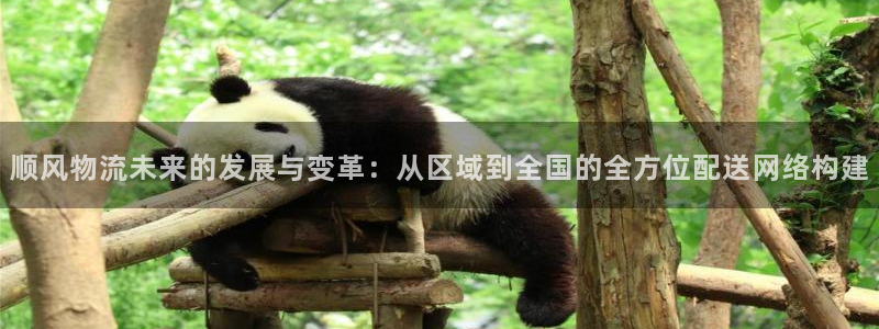 ,优游国际怎么下载：顺风物流未来的发