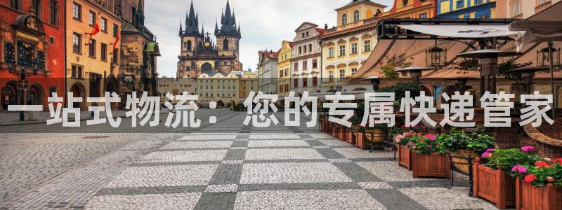 ,优游国际加拿大：一站式物流：您的专