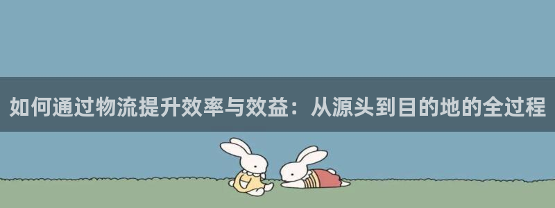 ,优游国际怎么注册游戏名字：如何通过物流提升效率与效益：从源