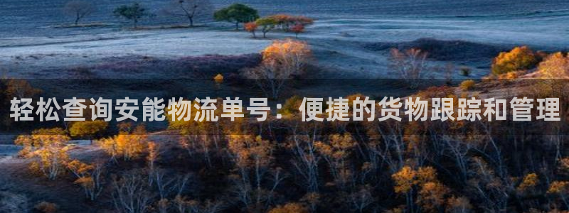 ,优游国际初始密码在哪里修改的：轻松查询安能物流单号：便捷的