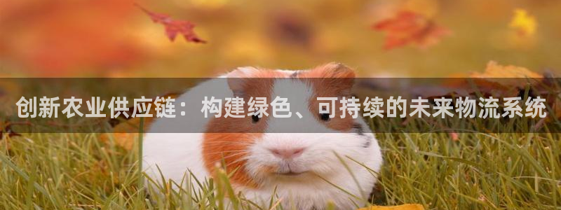 ,优游国际注册网页：创新农业供应链：