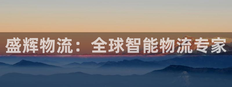 ,优游国际为什么打不开：盛辉物流：全