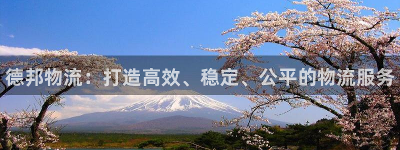 ,优游国际大舞台：德邦物流：打造高效