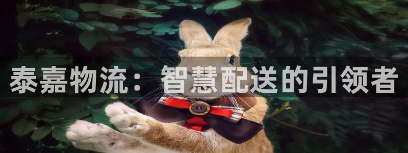 ,优游国际口内径是多大：泰嘉物流：智