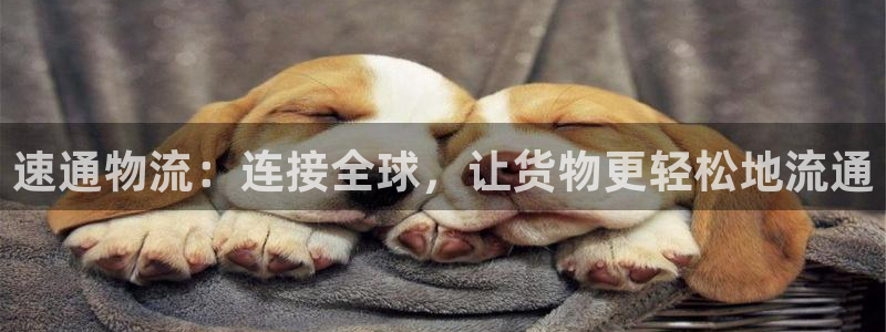 ,优游国际自行车图片：速通物流：连接