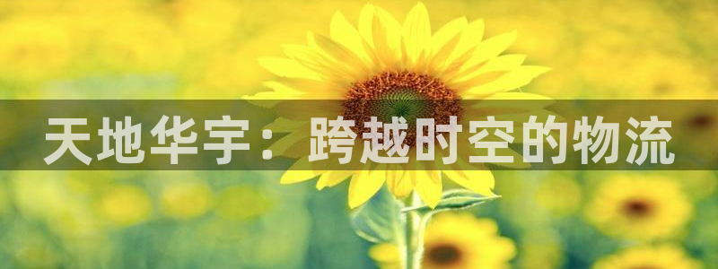 ,优游国际预测加拿大师准：天地华宇：