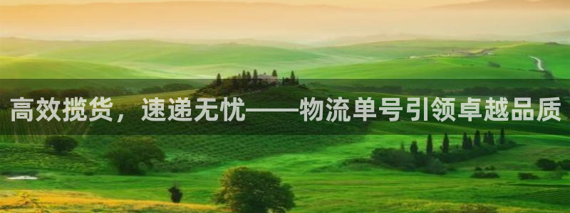 ,优游国际注册登录：高效揽货，速递无