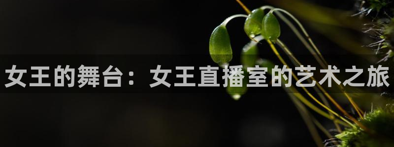 蜘蛛直播 nba：女王的舞台：女王直播室的艺术之旅