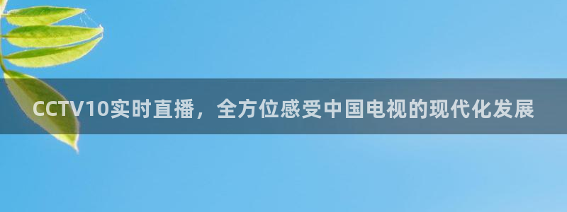 nba蜘蛛直播：CCTV10实时直播，全方位感受中国电视的现代化发展