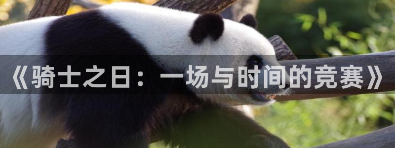 nba蜘蛛免费直播：《骑士之日：一场与时间的竞赛》