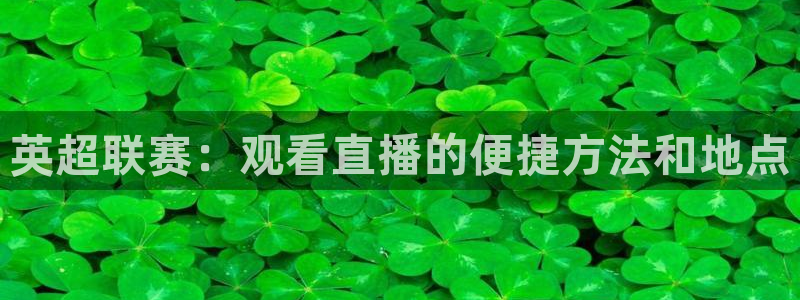 蜘蛛nba直播：英超联赛：观看直播的便捷方法和地点